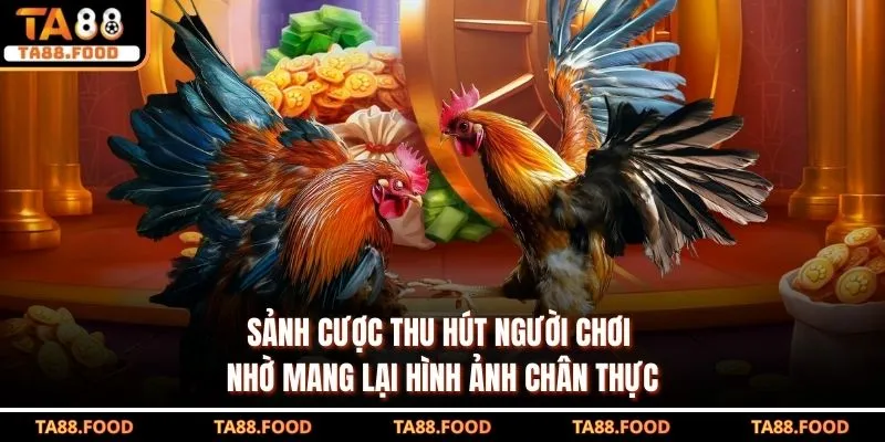Đá Gà Ta88